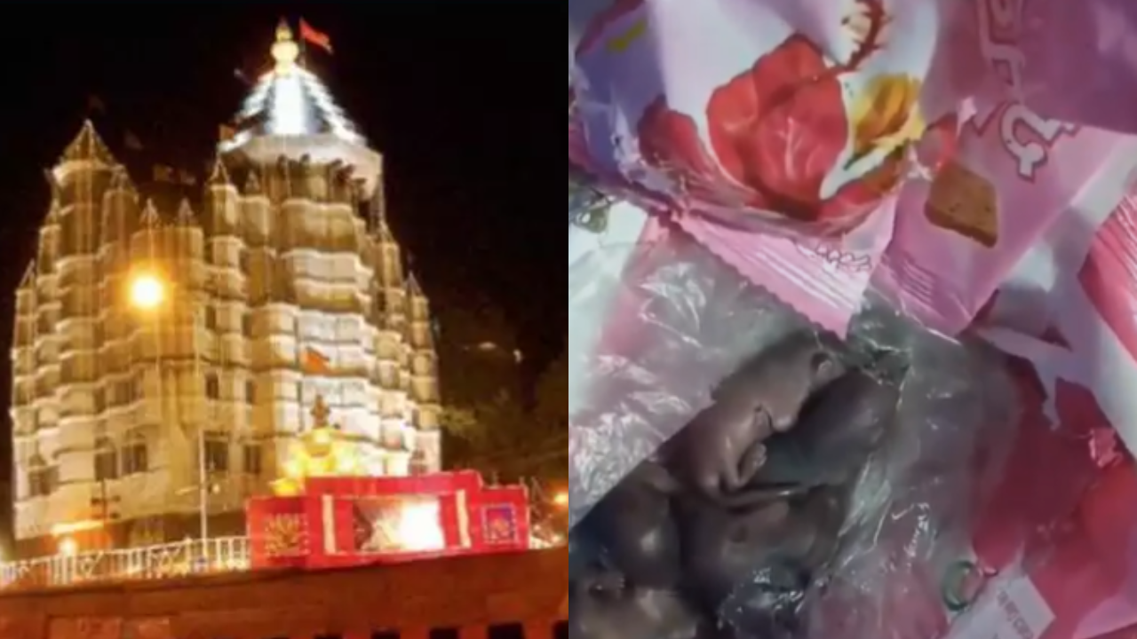 shocking-discovery:-mice-discovered-on-prasad-packets-at-mumbai’s-siddhivinayak-temple-sparks-investigation!